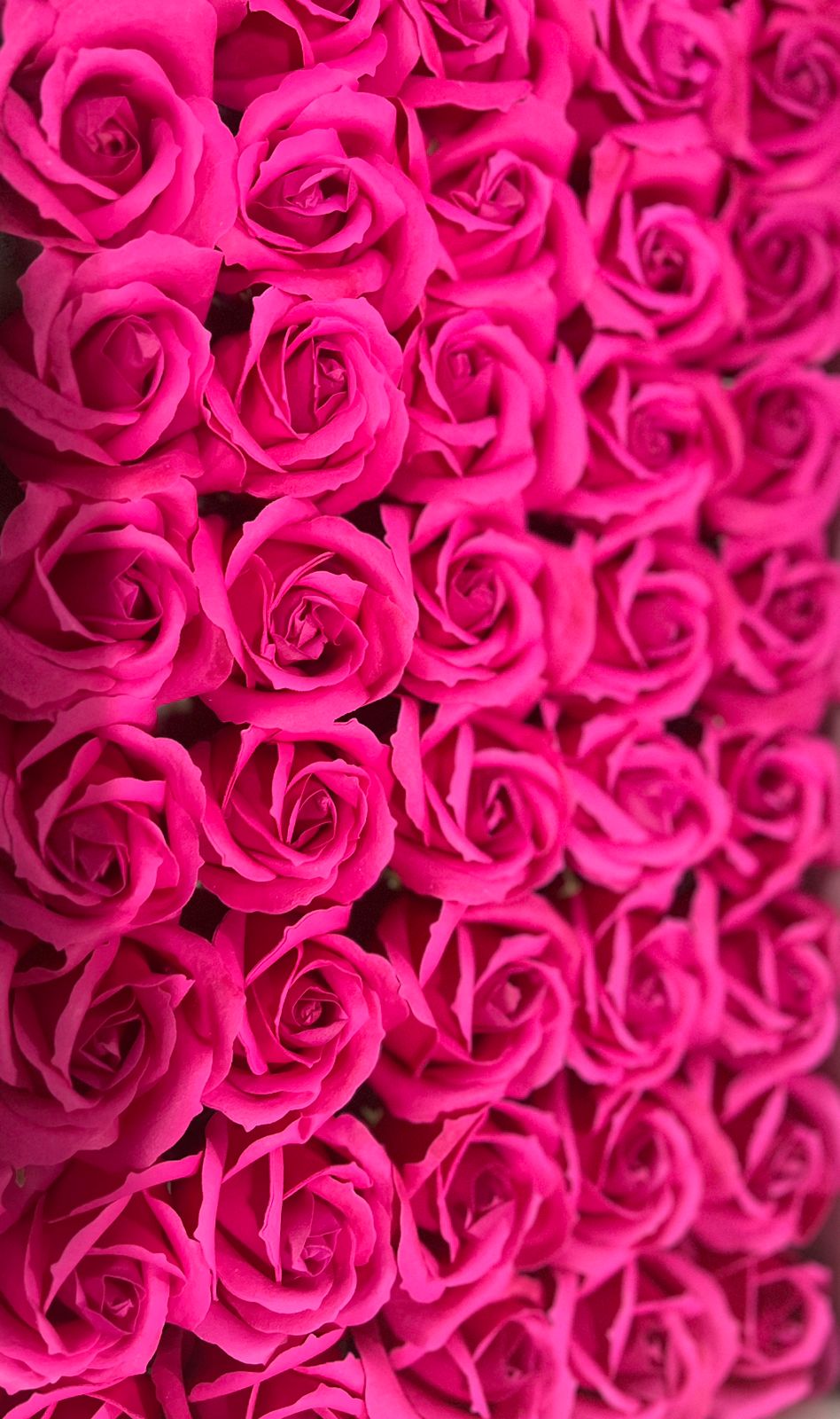 Beautiful Pink Color Artificial Soft Roses ( Pack Of 5)