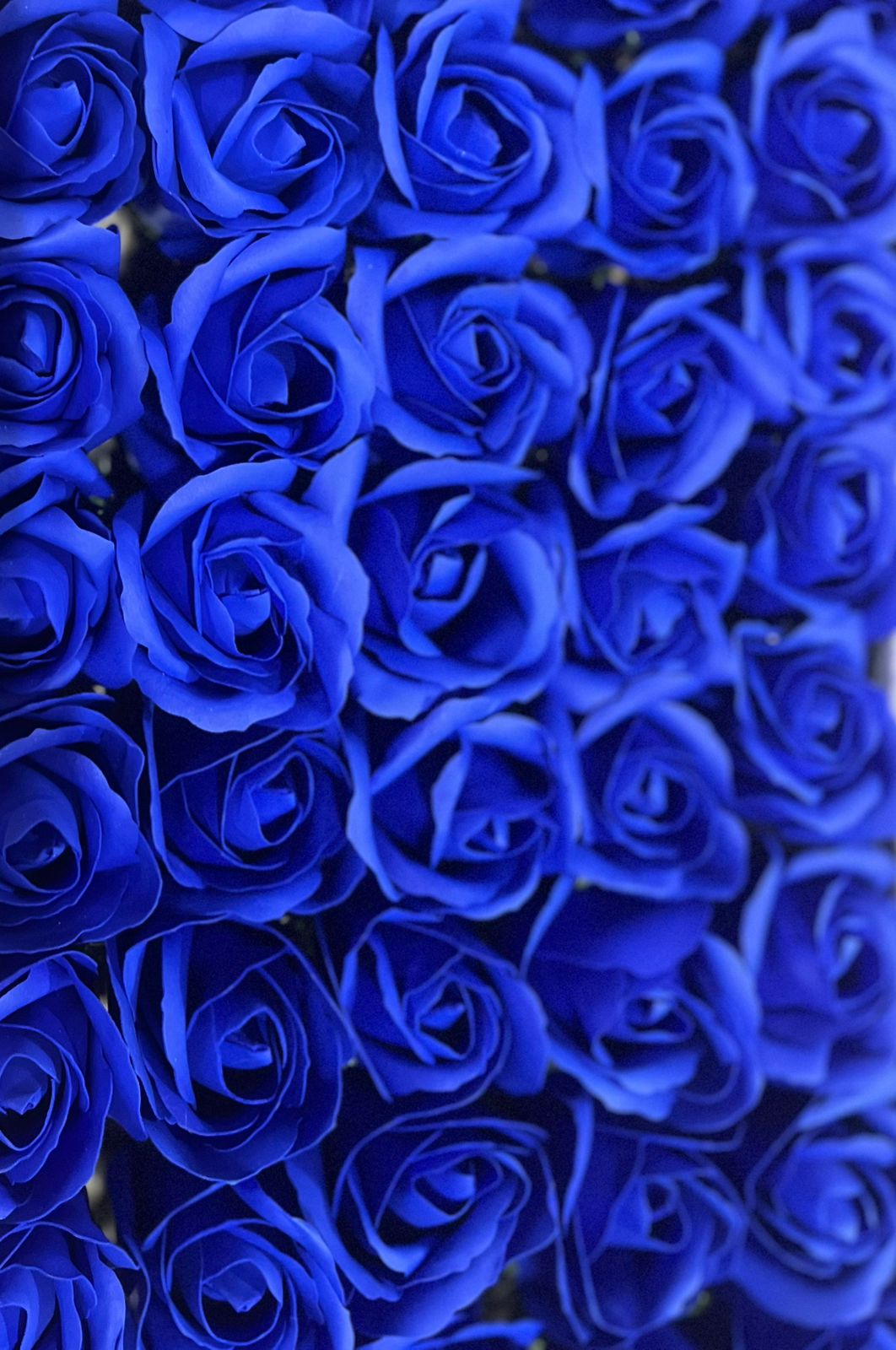 Beautiful Imported Fragrance Artificial Soft Roses ( Pack Of 5)