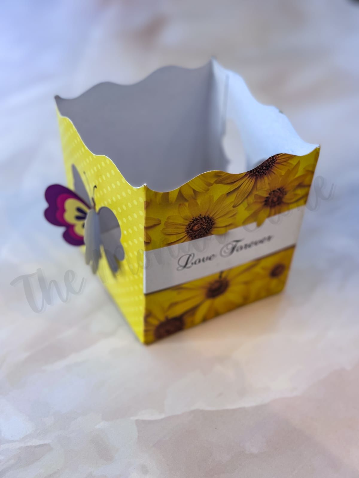 Beautiful 3d Butterfly Design Multipurpose Box With Net